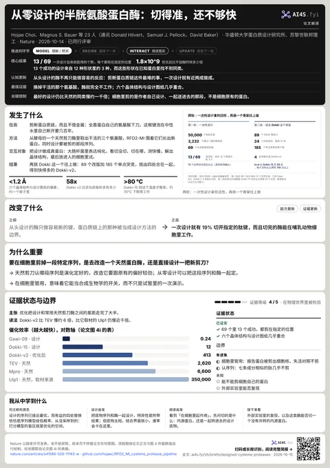 从头设计半胱氨酸蛋白酶证据海报:五个章节、关键数字、两轮设计的流程图,以及设计与天然蛋白酶的催化效率对比