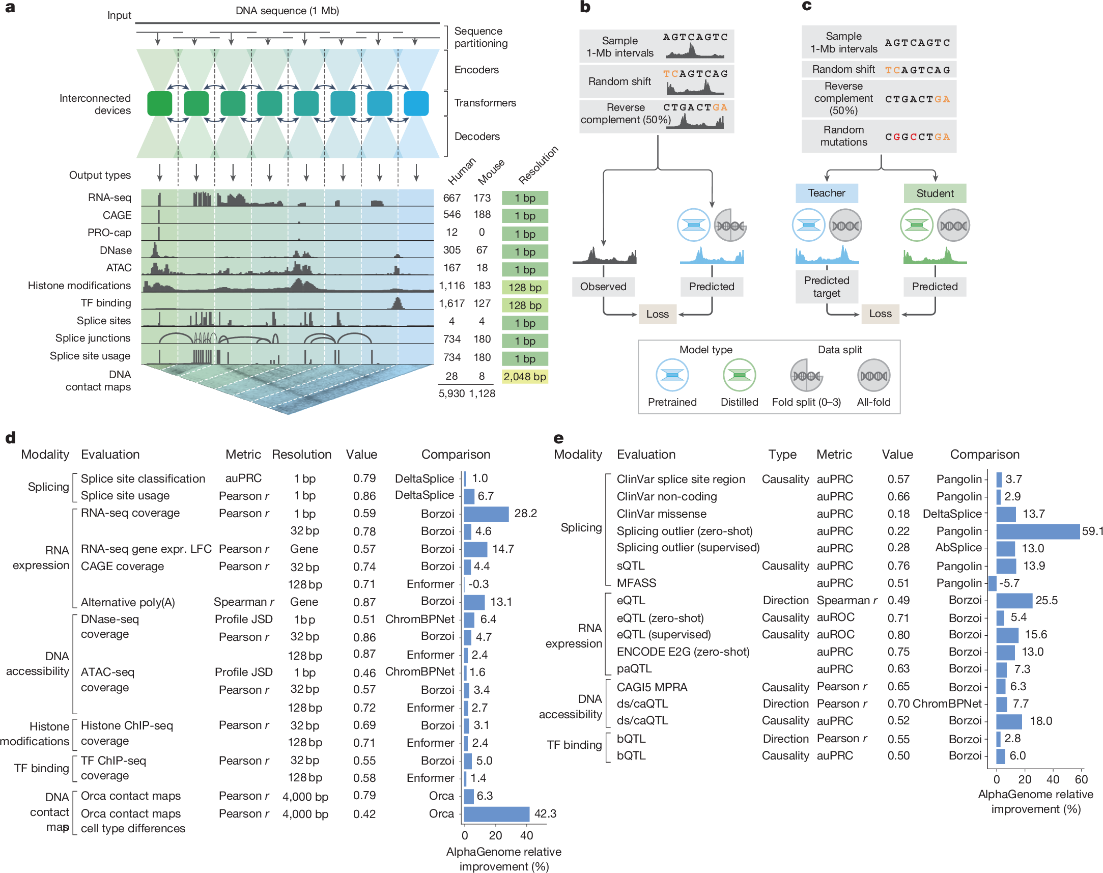 Fig. 1: overview of the AlphaGenome model whose predictions the Atlas precomputes