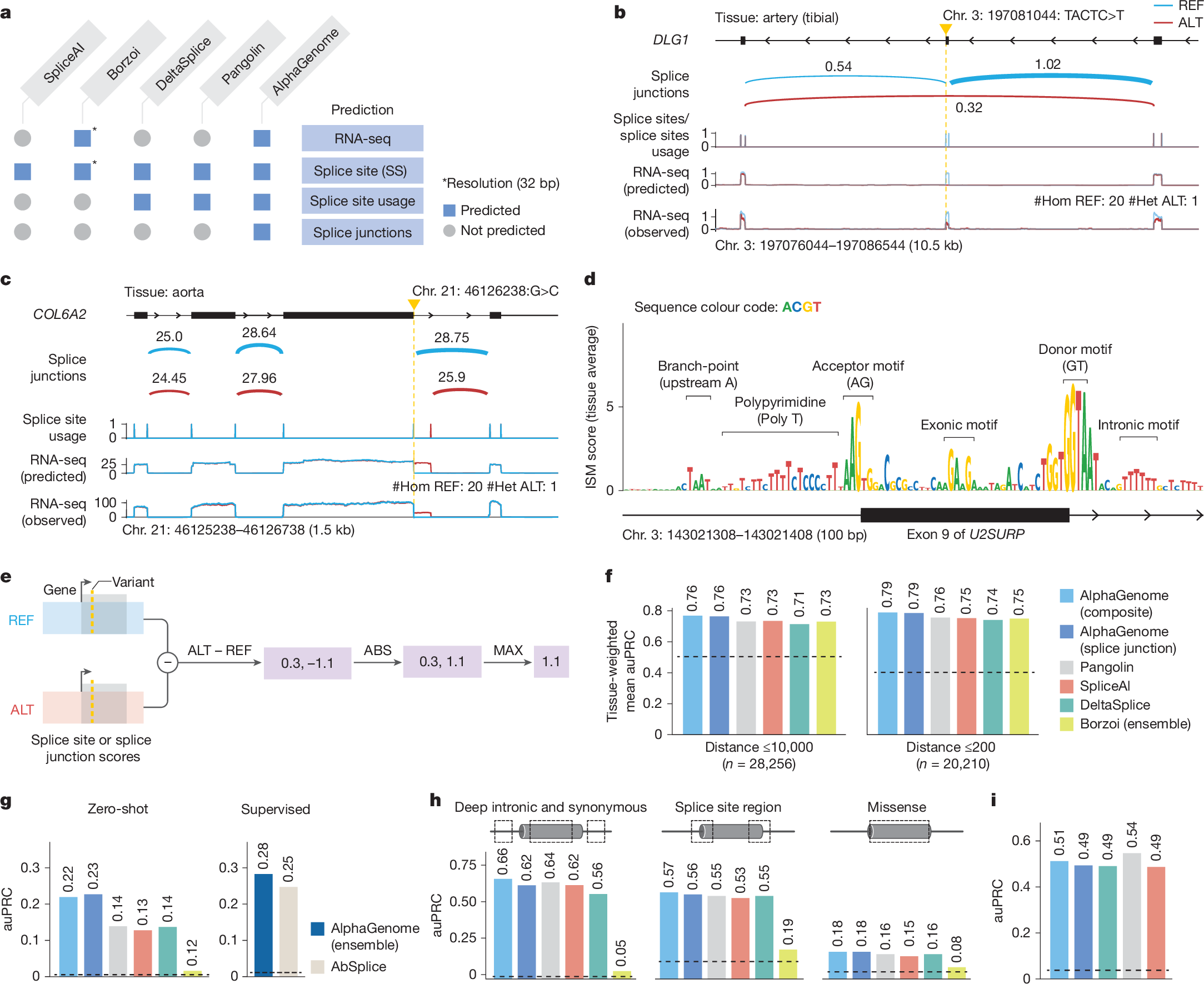 Fig. 3: splicing variant-effect benchmarks