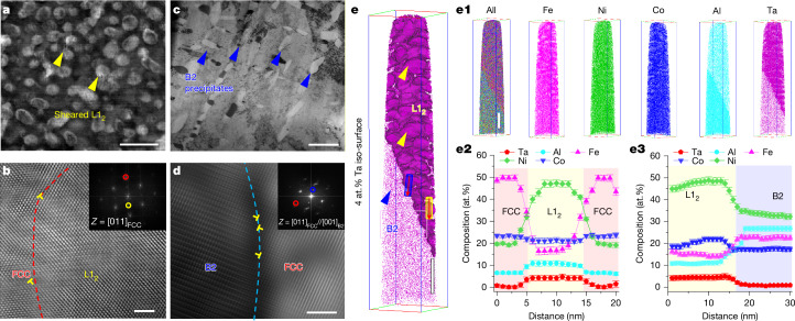 L1₂ nanoprecipitates, B2 microprecipitates and elemental distribution in HEA05